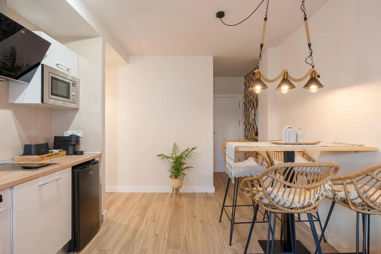 Apartamento Dream Malaga Apartment 0*,
